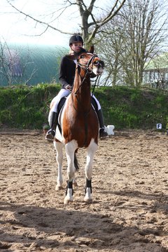 Bild 1394 - WBO-Turnier am 9.4.11